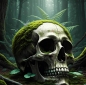 Preview: Forest Skull